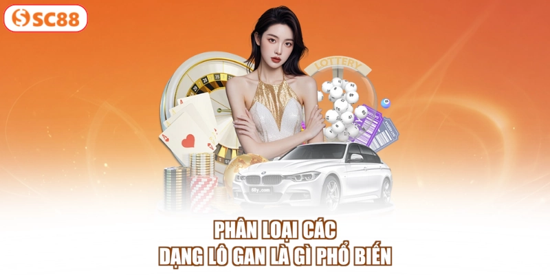 Phân loại các dạng lô gan là gì phổ biến
